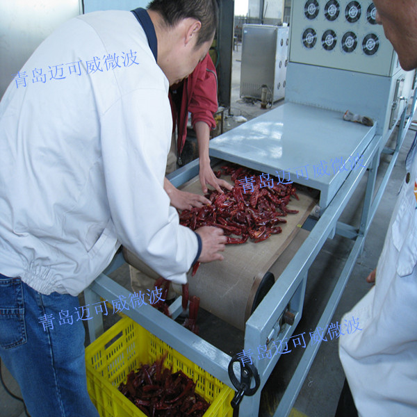 某農(nóng)產(chǎn)品加工企業(yè)：隧道式微波設備，用于辣椒及制品干燥殺菌處理
